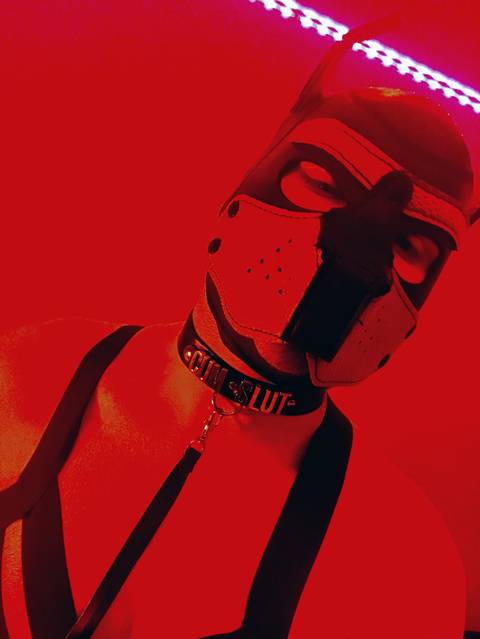 @scarlet_pup @scarlet_pup