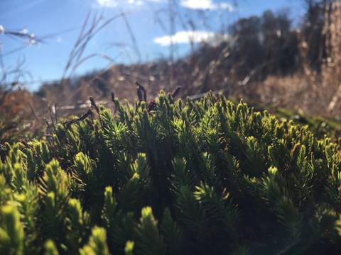 @blakelylovebug nude blakelylovebug nude