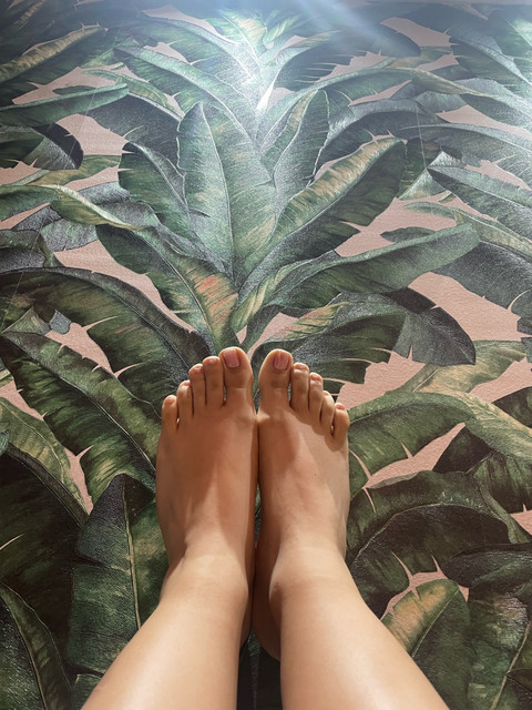 Feet of the Amazon profile picture