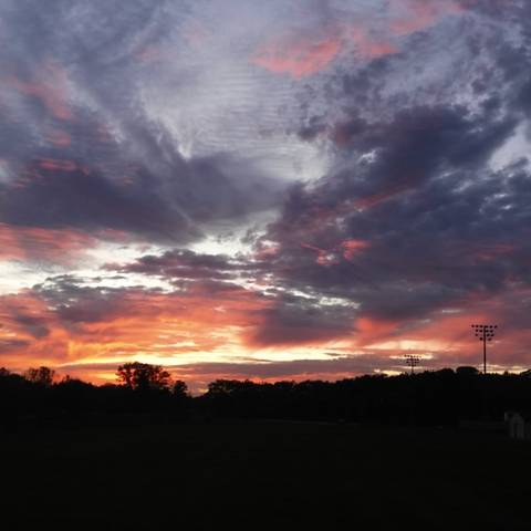 @oaklandlavender nude oaklandlavender nude