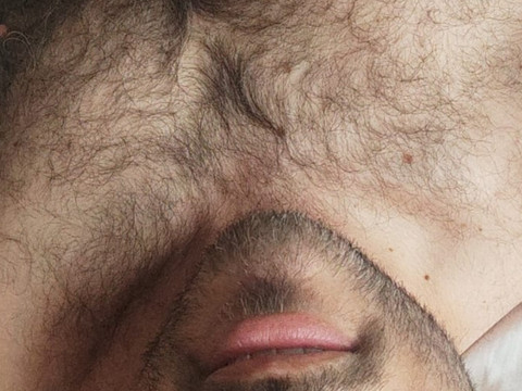 Hairybear profile picture