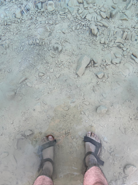 Sven Schnider profile picture