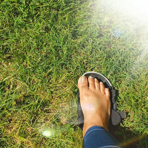 Southern_Pussyfoot profile picture