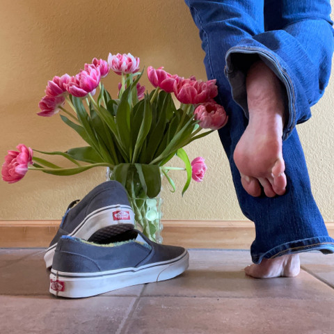 Queen_of_Vans profile picture