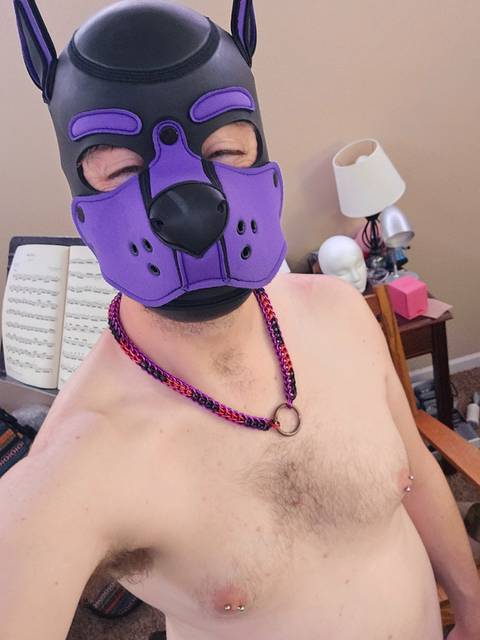 @lioncubmarvel @lioncubmarvel