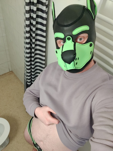 swedishboy1996 profile picture