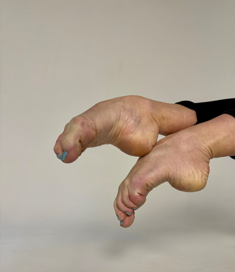 Swan Feet Fans profile picture