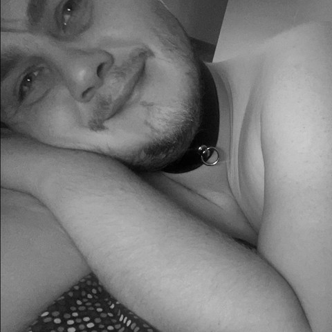 Ditoxiaβs Toy profile picture