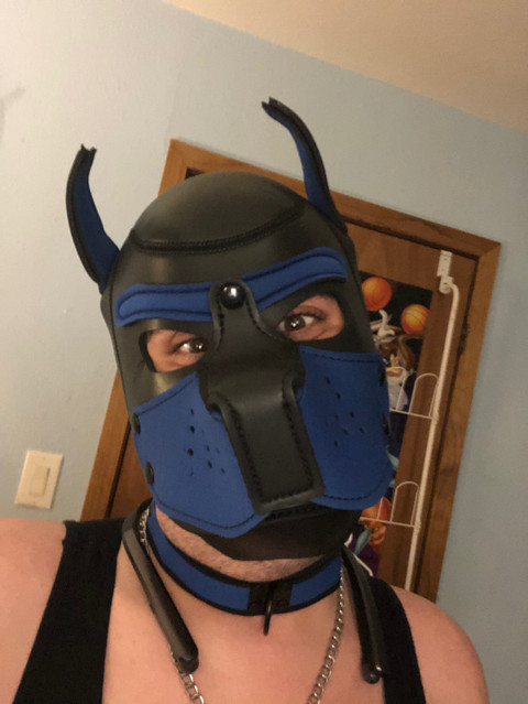 Pup SparkeyDean profile picture