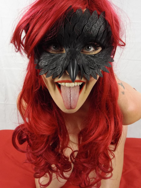 Knotty Masquerade profile picture