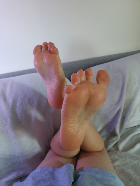 Feeder Feet profile picture
