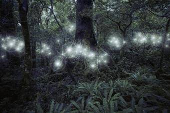 @whatwashername nude whatwashername nude